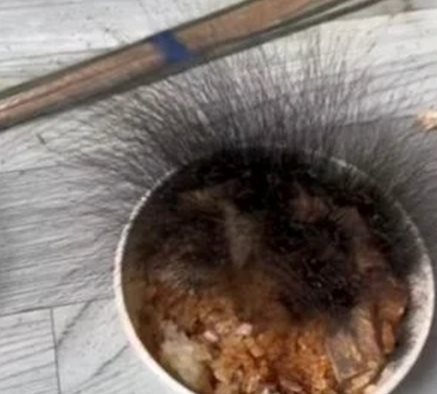 ข้าวกล่อง