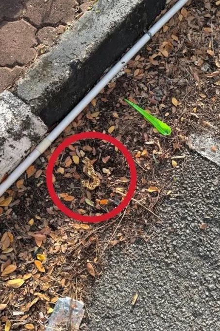 ทองหาย ได้คืนเหลือจะเชื่อ 