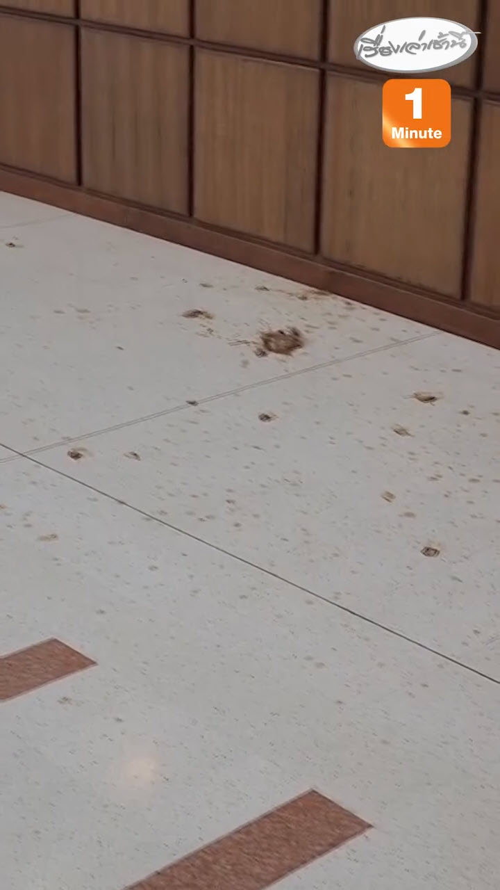 วงแตก ลุงถือไม้เทนนิส บุกสาดปลาร้าหน้า กกต.