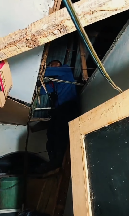 งูเข้าบ้าน