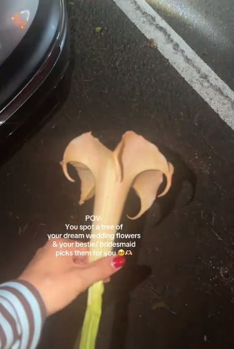 เลือกดอกไม้แต่งงานผิด หวิดทำแขกดับ