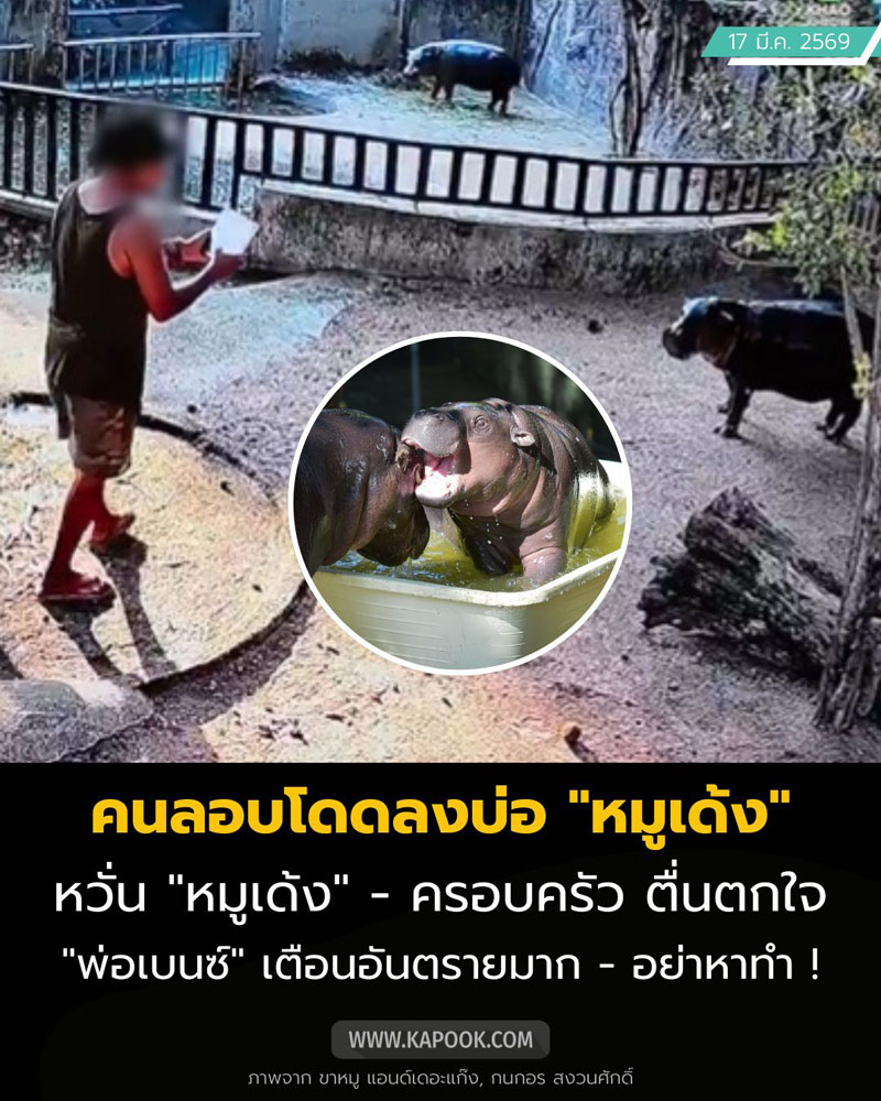 คนกระโดดลงบ่อหมูเด้ง