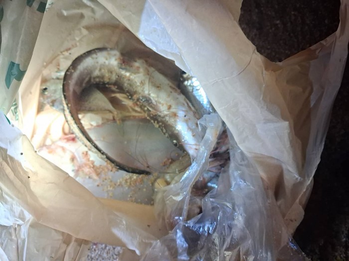 พิษร้ายแรงมากผ