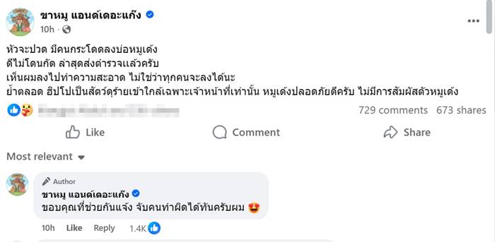 คนกระโดดลงบ่อหมูเด้ง