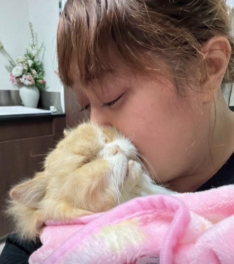 น้องเลย์ลินจากไปแล้ว