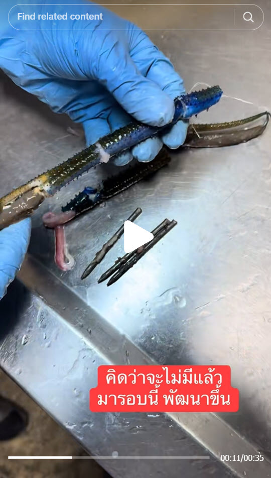 เตือนภัยผู้บริโภค พบกลโกงใหม่เสียบตะปูในก้ามกุ้ง