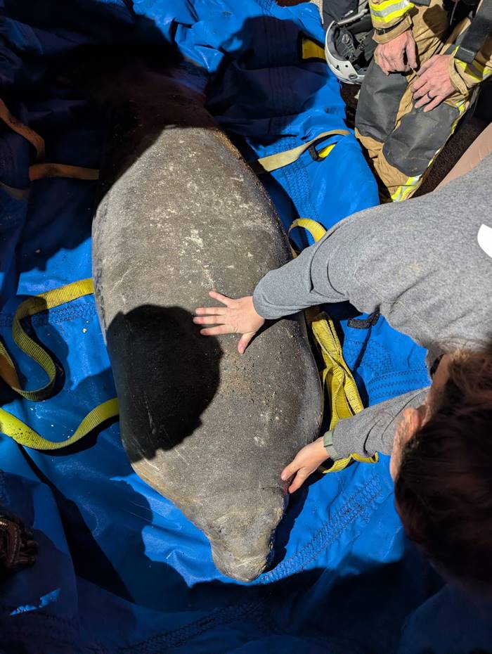 ตัวอะไร ติดในท่อ !?