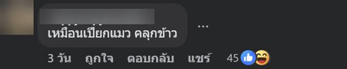 ข้าวขาหมู