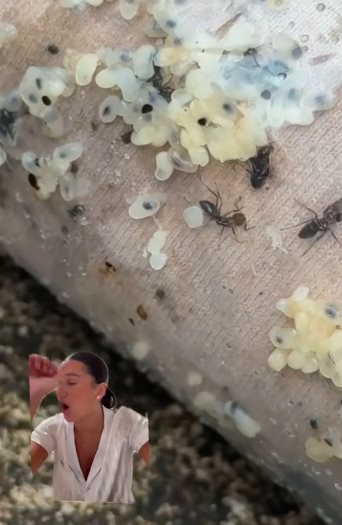 สั่งชุดสวย ได้ของแถมสะพรึง 