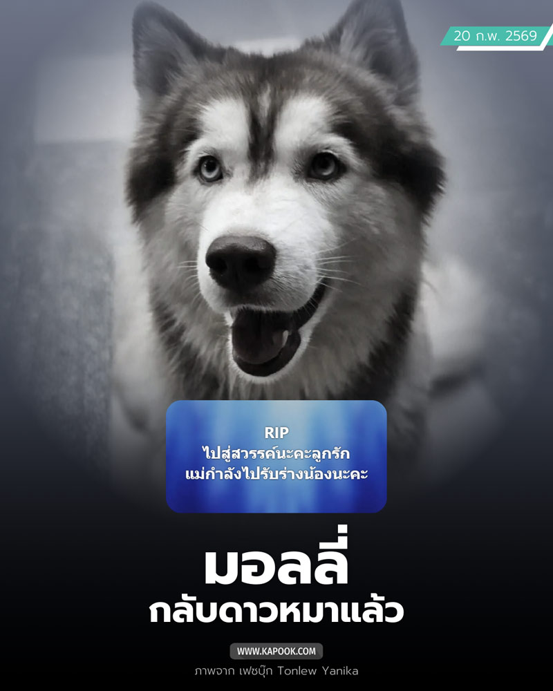 มอลลี่ กลับดาวหมาแล้ว 