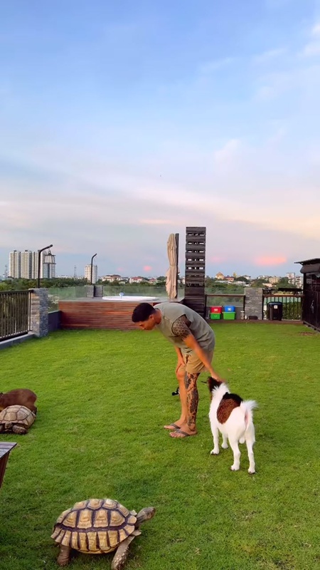 ไป๊ ทาคน เปิดบ้านหรู พาชมสวนสัตว์บนดาดฟ้า