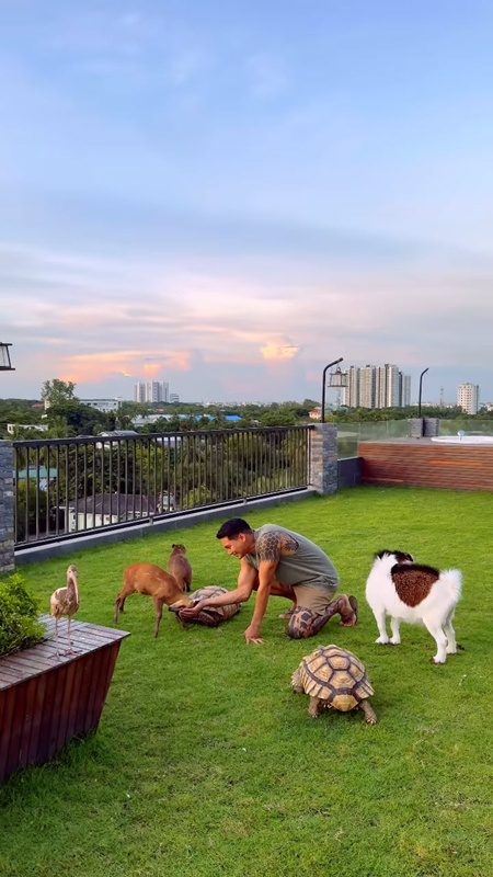 ไป๊ ทาคน เปิดบ้านหรู พาชมสวนสัตว์บนดาดฟ้า