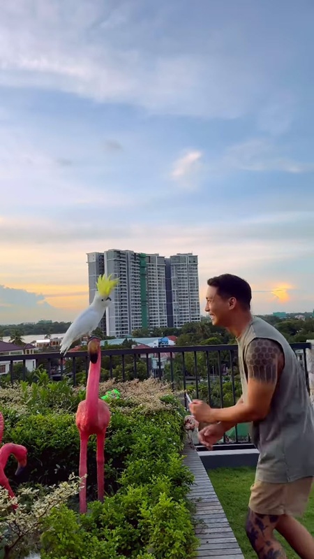 ไป๊ ทาคน เปิดบ้านหรู พาชมสวนสัตว์บนดาดฟ้า