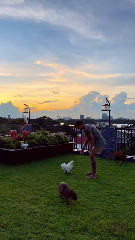 ไป๊ ทาคน เปิดบ้านหรู พาชมสวนสัตว์บนดาดฟ้า