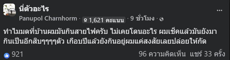 มดกินสายไฟ