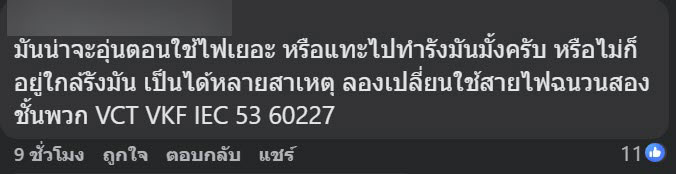 มดกินสายไฟ