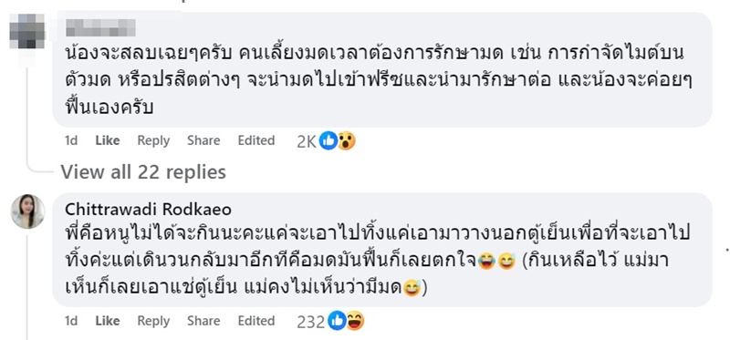 มดตายแล้วฟื้นคืนชีพ หลังเข้าตู้เย็นที่เย็นจัด