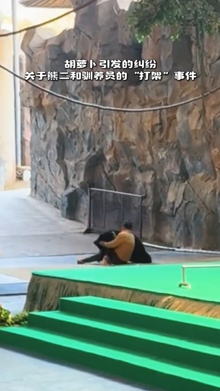 โชว์สัตว์ระทึก หมีจู่โจมผู้ดูแลต่อหน้าคนดู