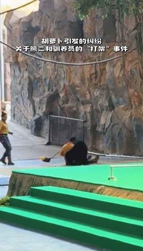 โชว์สัตว์ระทึก หมีจู่โจมผู้ดูแลต่อหน้าคนดู