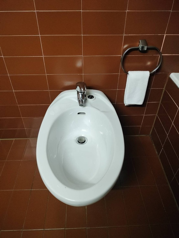 Bidet โถชำระที่คล้ายส้วม