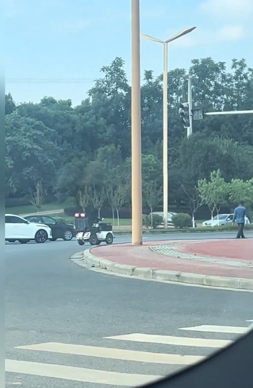 หมาดำซิ่งรถบนถนน