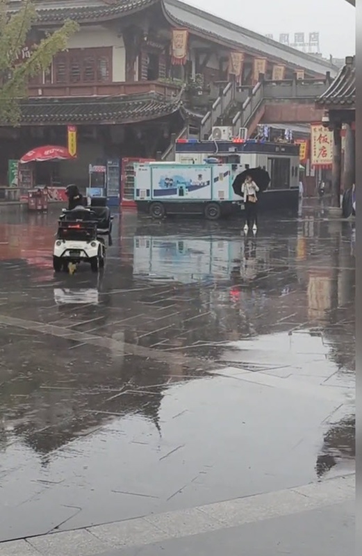 หมาดำซิ่งรถบนถนน