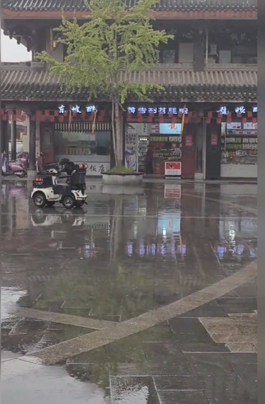 หมาดำซิ่งรถบนถนน