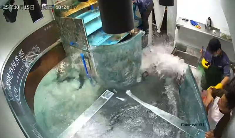 ตู้ปลายักษ์แตก น้ำทะลัก