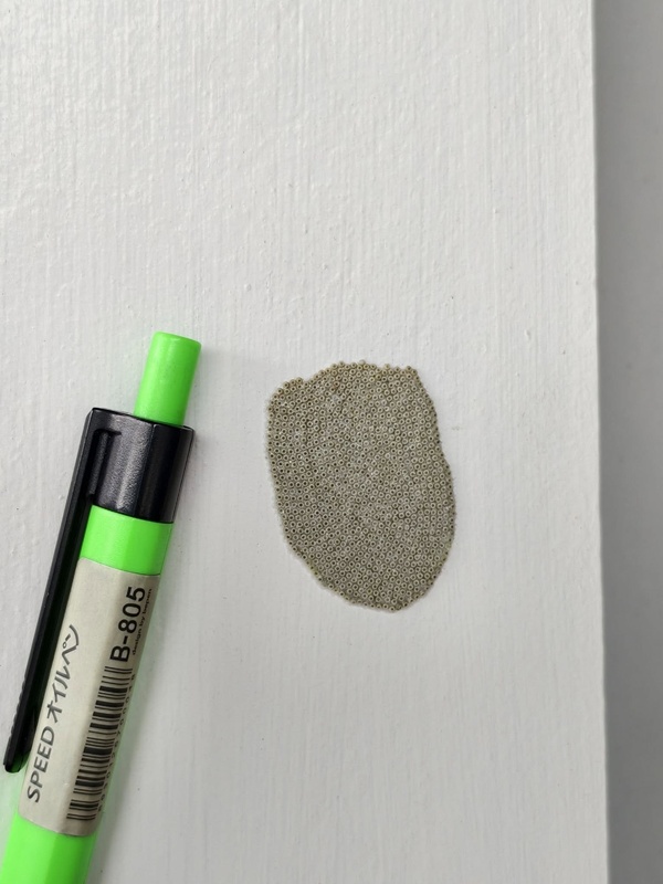 หนุ่มเจอไข่ปริศนาติดผนังบ้าน