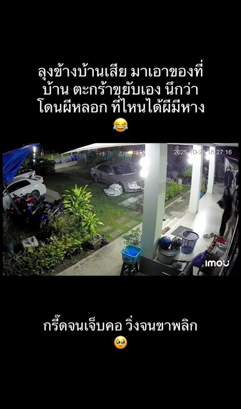 สาวกรี๊ดลั่น ตระกร้าขยับเอง สาวกรี๊ดลั่น ตระกร้าขยับเอง