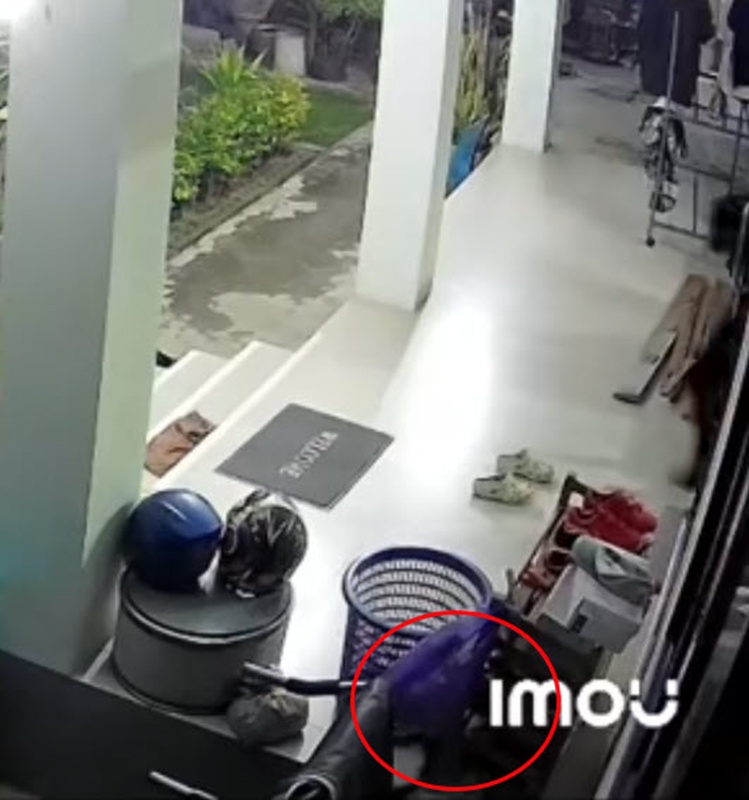 สาวกรี๊ดลั่น ตระกร้าขยับเอง