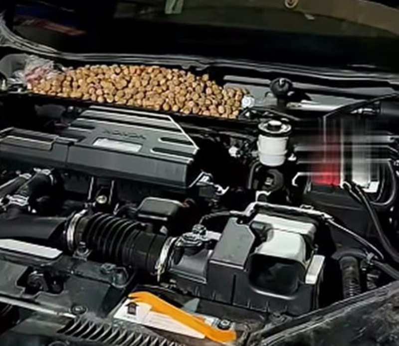 เจอเม็ดประหลาดในรถ ไหลออกมาเป็นร้อย เจอเม็ดประหลาดในรถ ไหลออกมาเป็นร้อย