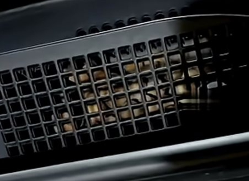 เจอเม็ดประหลาดในรถ ไหลออกมาเป็นร้อย