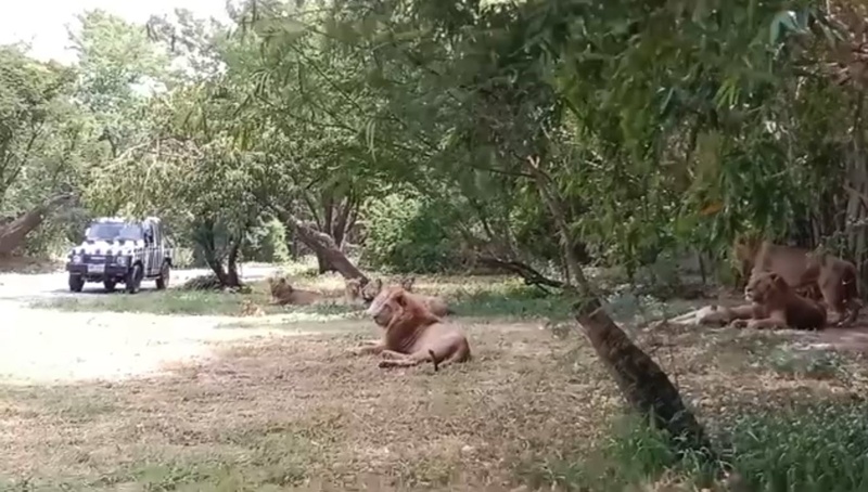 อาลัย ลุงเจียน จนท. สวนสัตว์