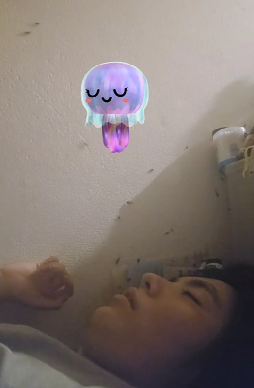 สาวคนดัง TikTok อยู่กับแมลงสาบ 3 หมื่นตัว สาวคนดัง TikTok อยู่กับแมลงสาบ 3 หมื่นตัว