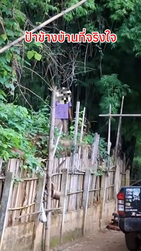 ป้าข้างบ้าน