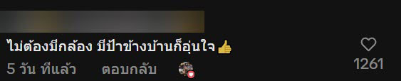 ป้าข้างบ้าน