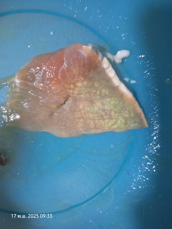 หนุ่มเจอ เนื้อหมูเรืองแสง คาใจกินได้หรือเปล่า