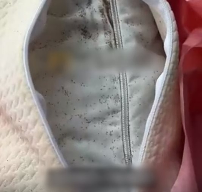 ซื้อหมอนออนไลน์ หญิงเจอความสยองบนที่นอน