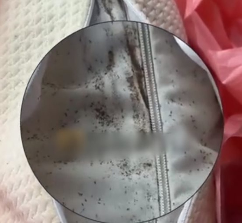 ซื้อหมอนออนไลน์ หญิงเจอความสยองบนที่นอน