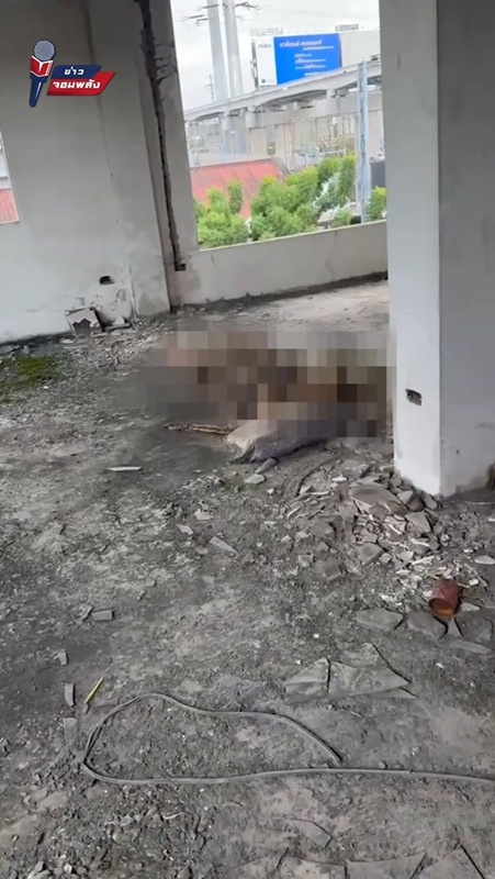 โครงกระดูกปริศนาบนตึกร้าง