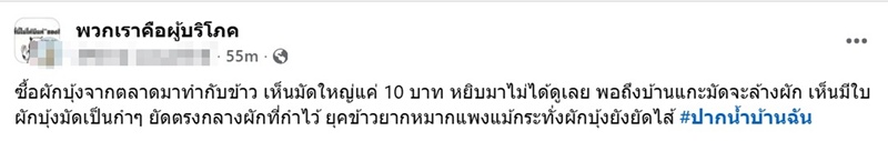ผักบุ้ง ผักบุ้ง