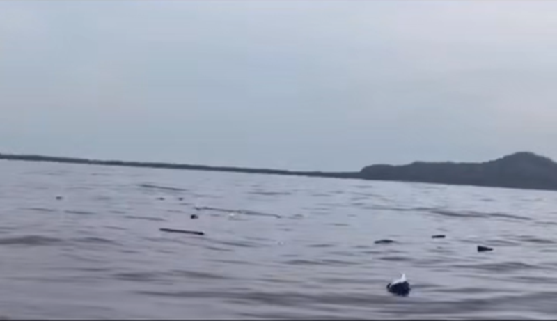 เรือเฟอร์รี่จมทะเลฟิลิปปินส์