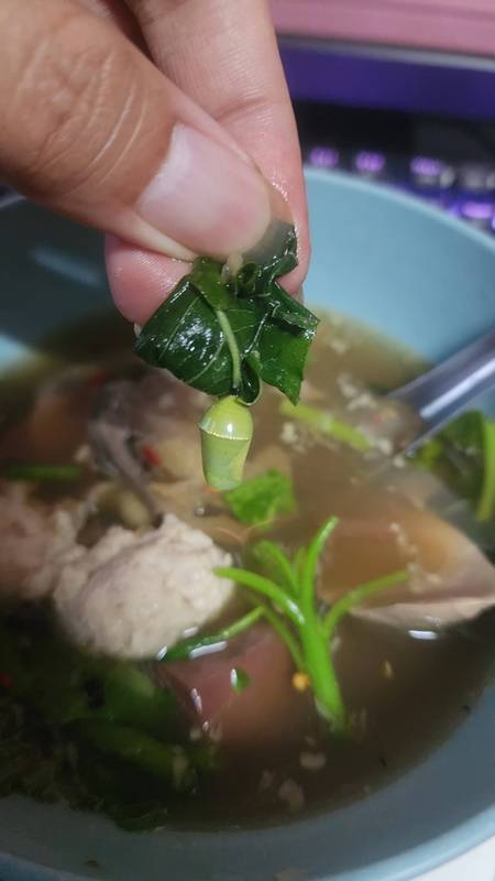 สิ่งแปลกปลอมสีเขียวในต้มเลือดหมู