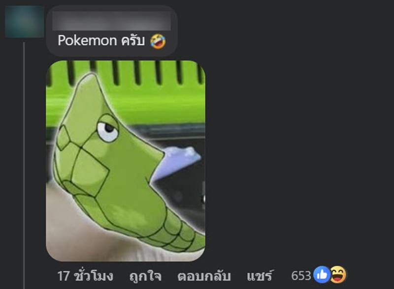 สิ่งแปลกปลอมสีเขียวในต้มเลือดหมู