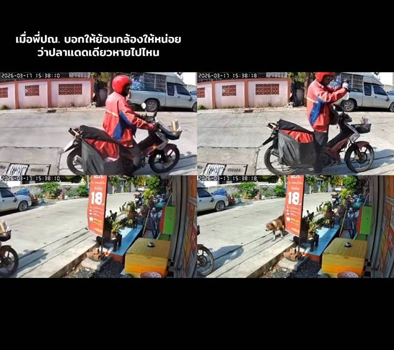 ขโมยอาหาร