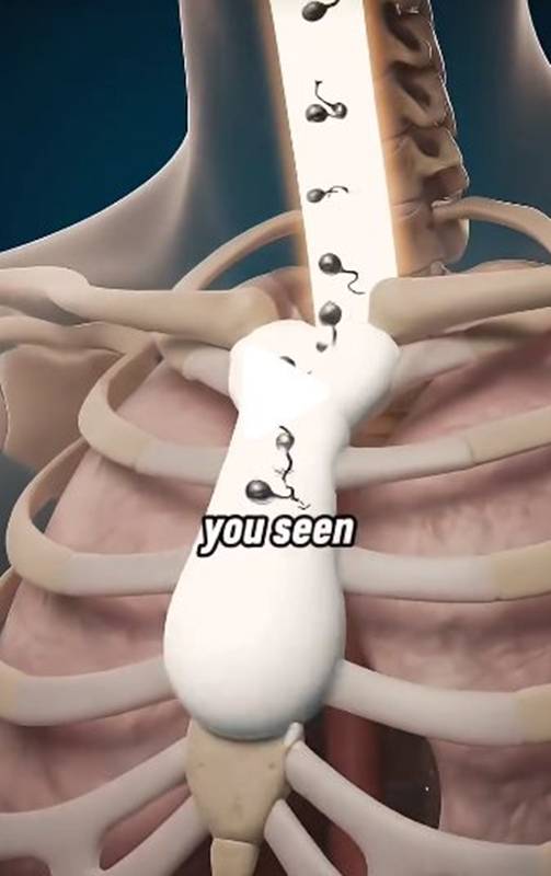 กลืนน้ำอสุจิเข้าท้องจะเกิดอะไรขึ้น