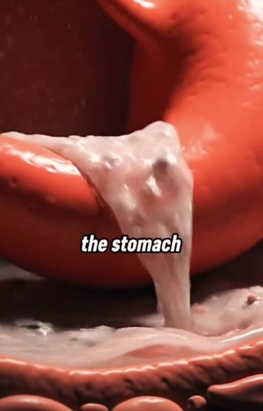 กลืนน้ำอสุจิเข้าท้องจะเกิดอะไรขึ้น