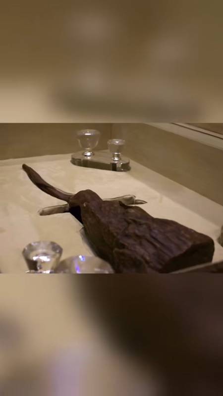 เศรษฐีควัก 2 ล้านซื้อท่อนไม้