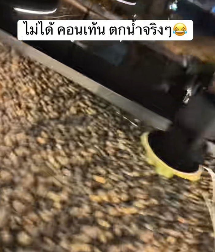 ไวรัล 1 2 ล้าน เดินในรีสอร์ต บอกว่าตกน้ำ 